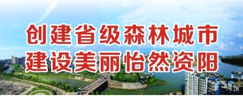 小吊日美女小B创建省级森林城市 建设美丽怡然资阳